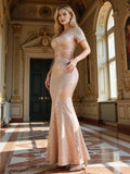 Dress for  Weddings, Galas, and Special Occasions,