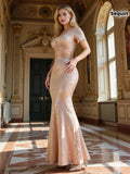 Dress for  Weddings, Galas, and Special Occasions,